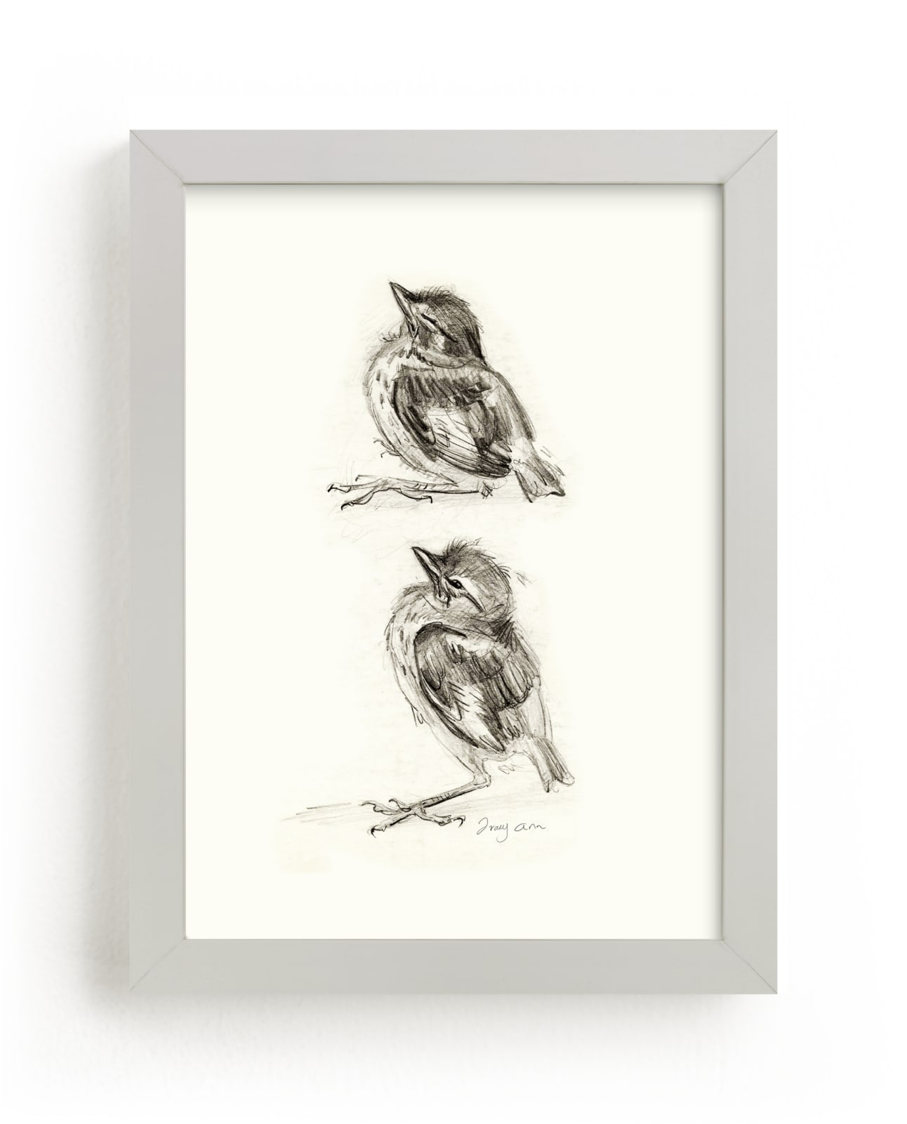 "Fledgling Mockingbird Sketch" by Tracy Ann in beautiful frame options and a variety of sizes.