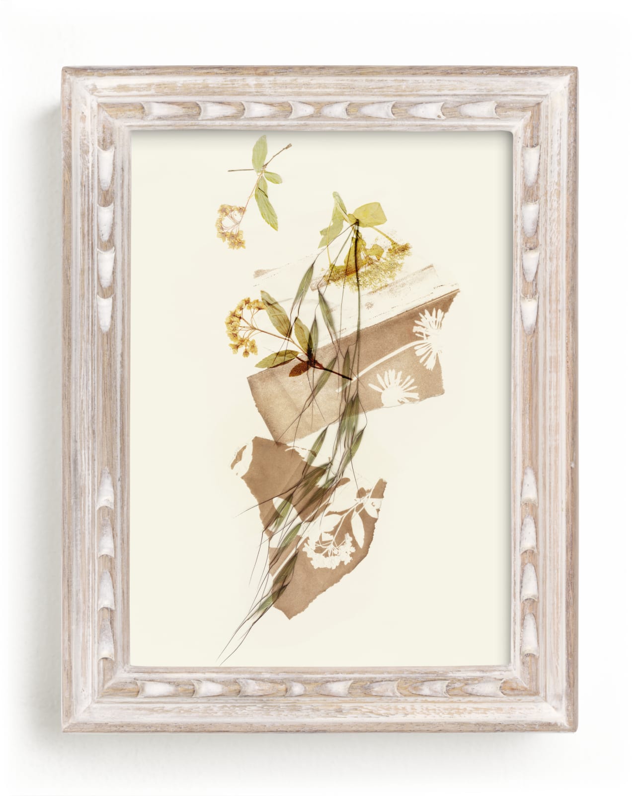 "Wild Pressed Plants" by Oana Prints in beautiful frame options and a variety of sizes.