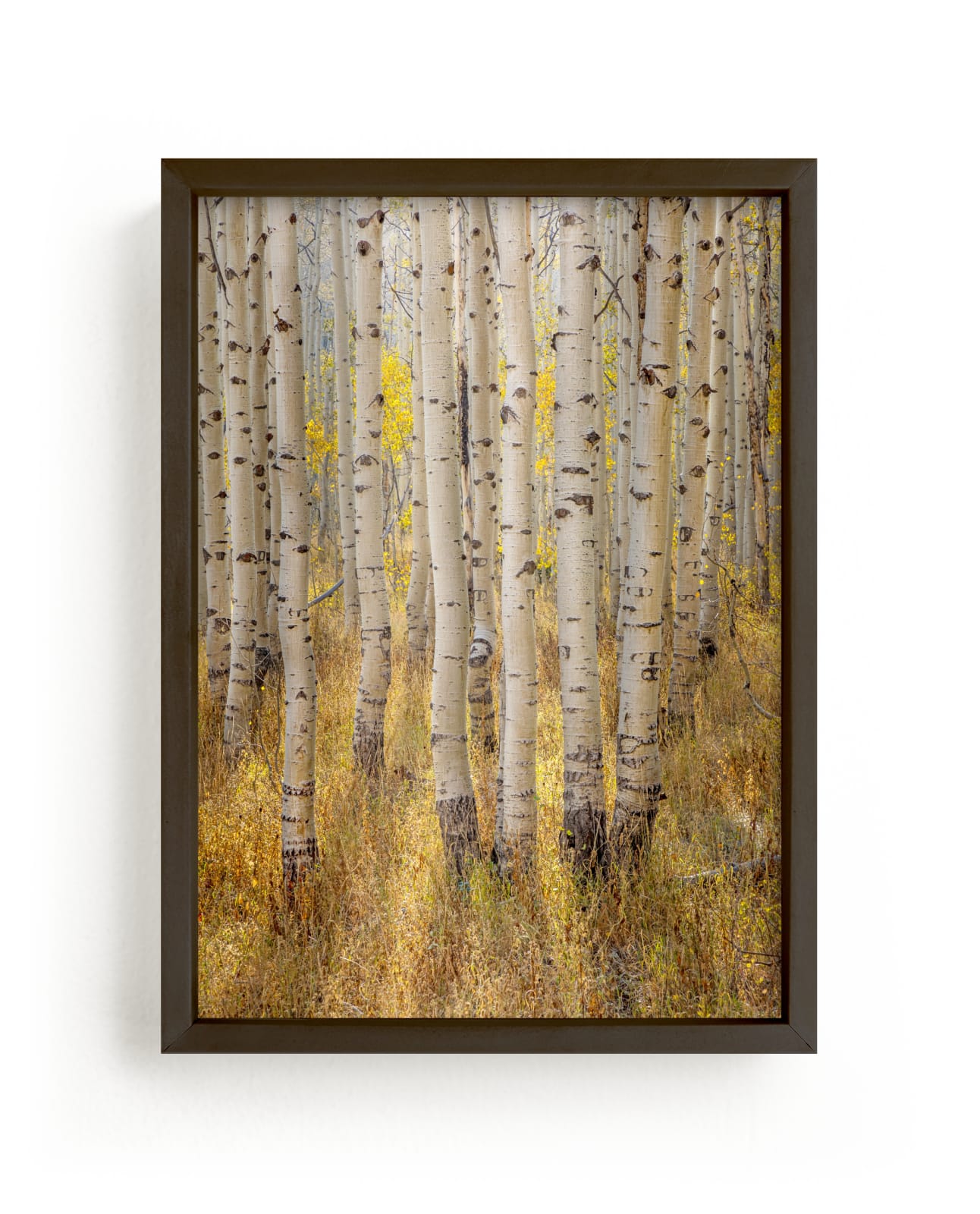 "filtered light" - Limited Edition Art Print by Eric Clegg in beautiful frame options and a variety of sizes.