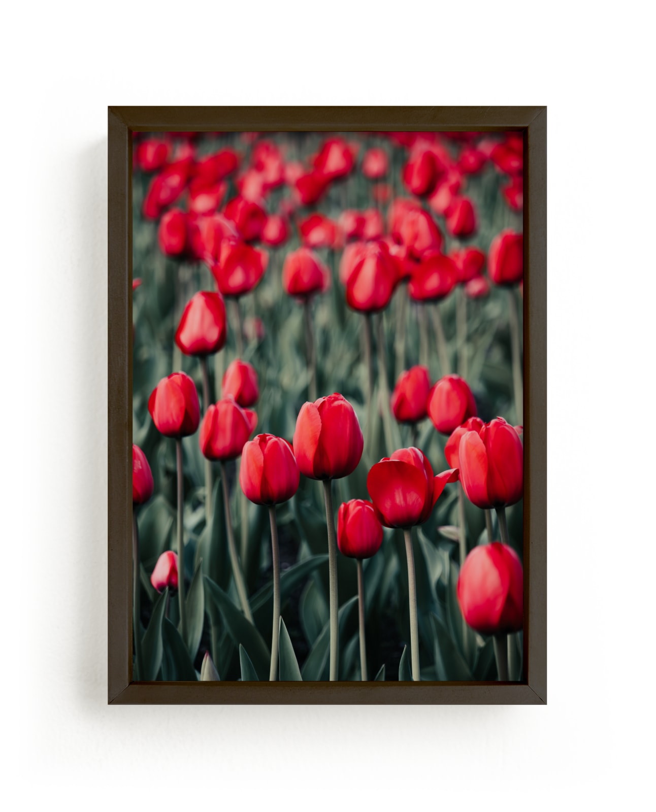 "Red Tulips" - Limited Edition Art Print by Lucila Naves in beautiful frame options and a variety of sizes.