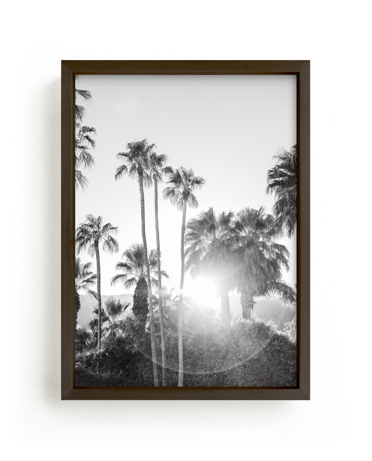 "Sunflare Palms" - Limited Edition Art Print by Jamie Lollback in beautiful frame options and a variety of sizes.