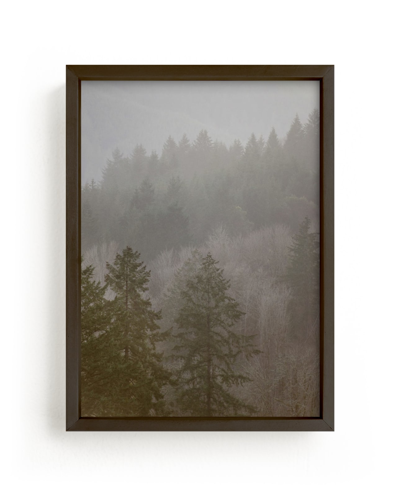 "Pine forest" - Limited Edition Art Print by Crystal Lynn Collins in beautiful frame options and a variety of sizes.