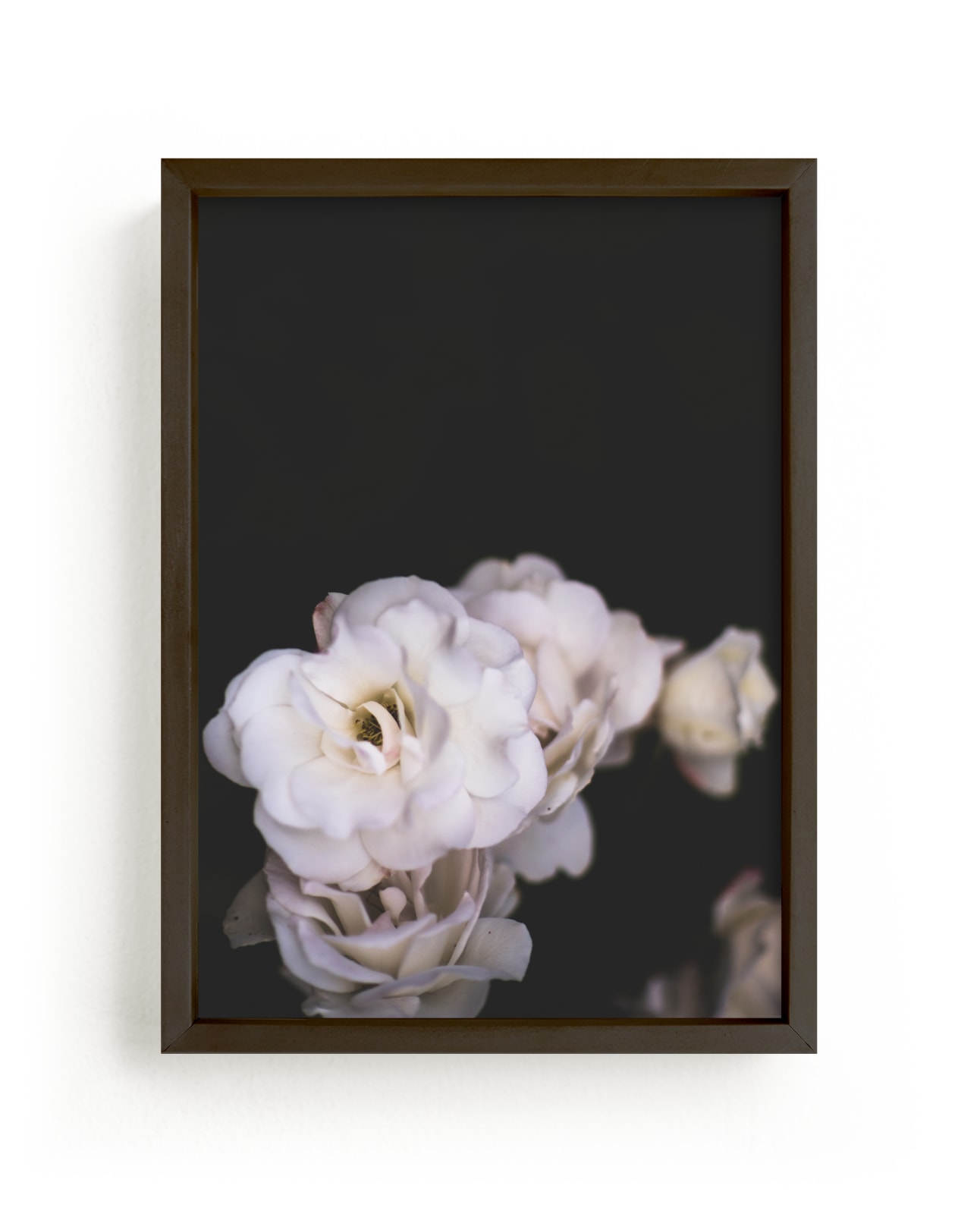 "Midnight Bloom" - Limited Edition Art Print by Kamala Nahas in beautiful frame options and a variety of sizes.