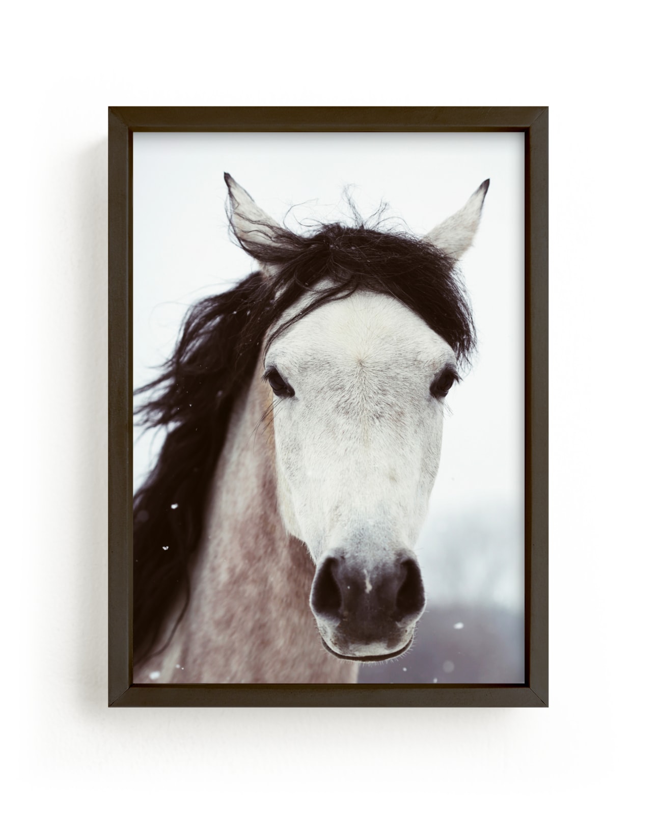 "Winter Horse" - Limited Edition Art Print by ALICIA BOCK in beautiful frame options and a variety of sizes.