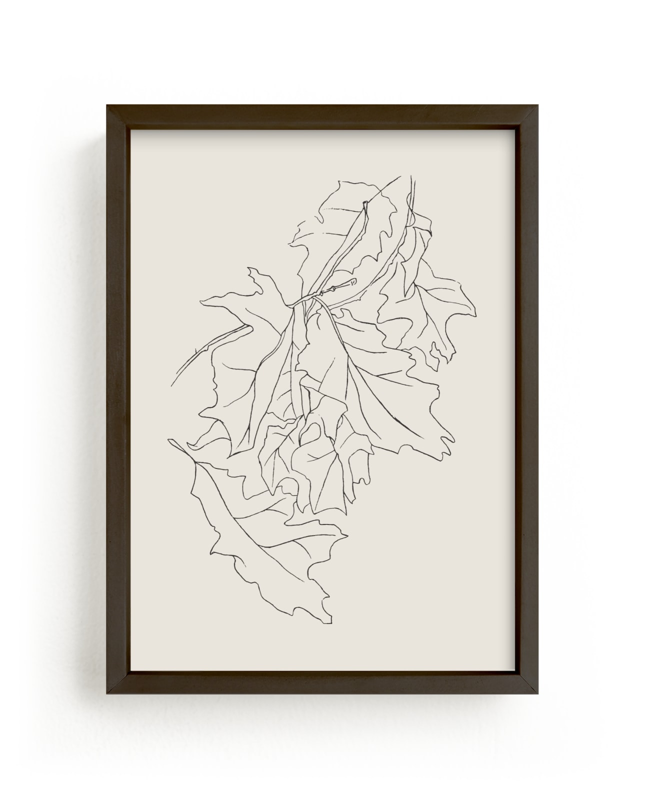 "Oak Leaf Study" - Art Print by Lorent and Leif in beautiful frame options and a variety of sizes.