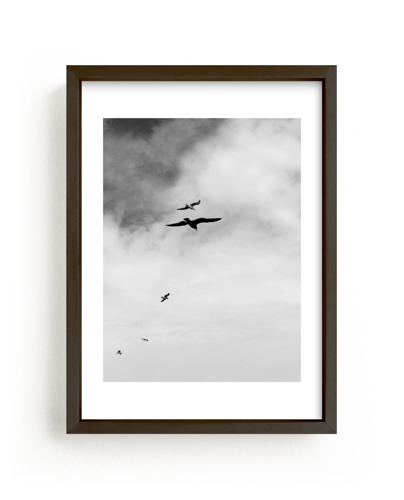 Soaring Trio 3