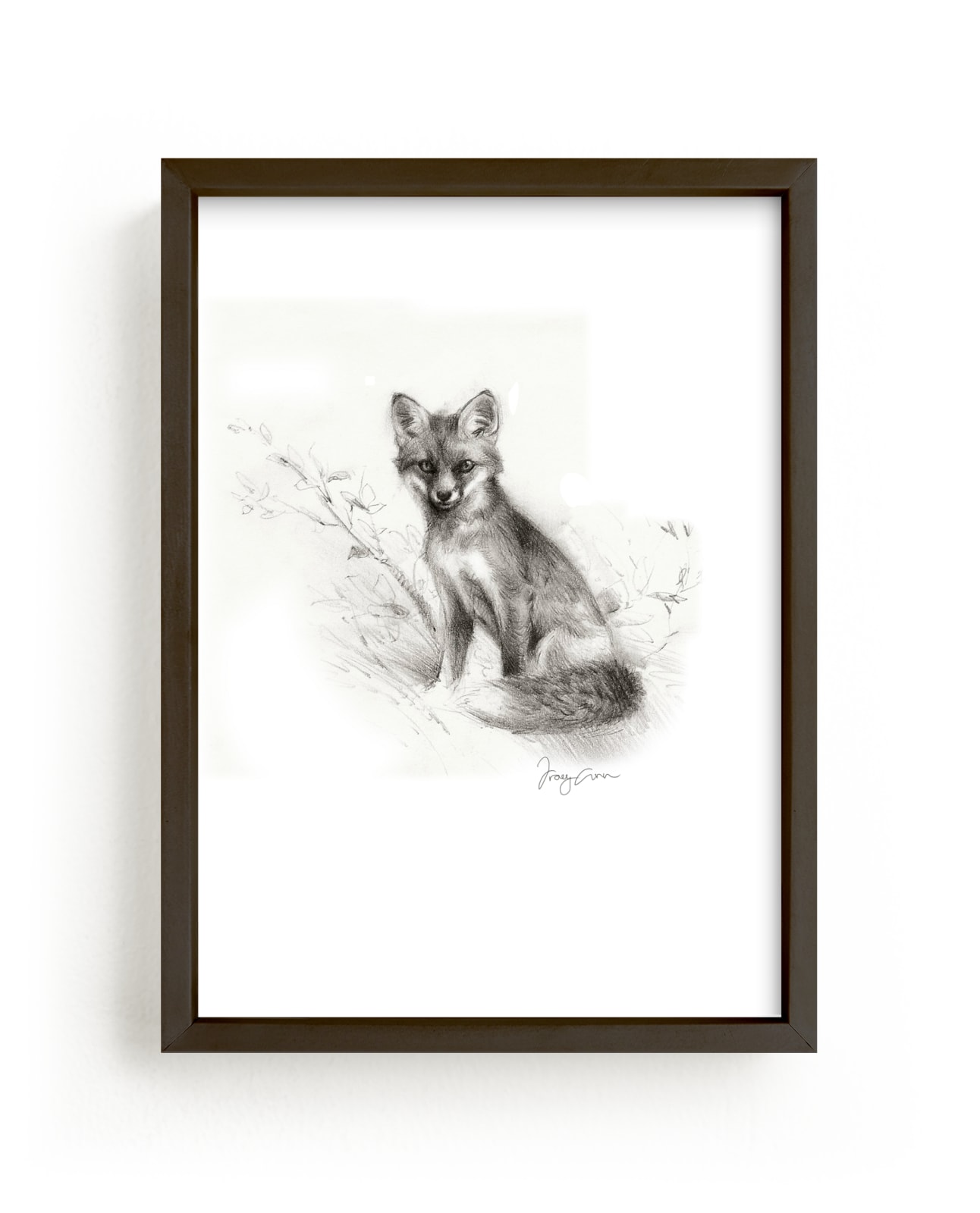 "Small Gray Fox" by Tracy Ann in beautiful frame options and a variety of sizes.