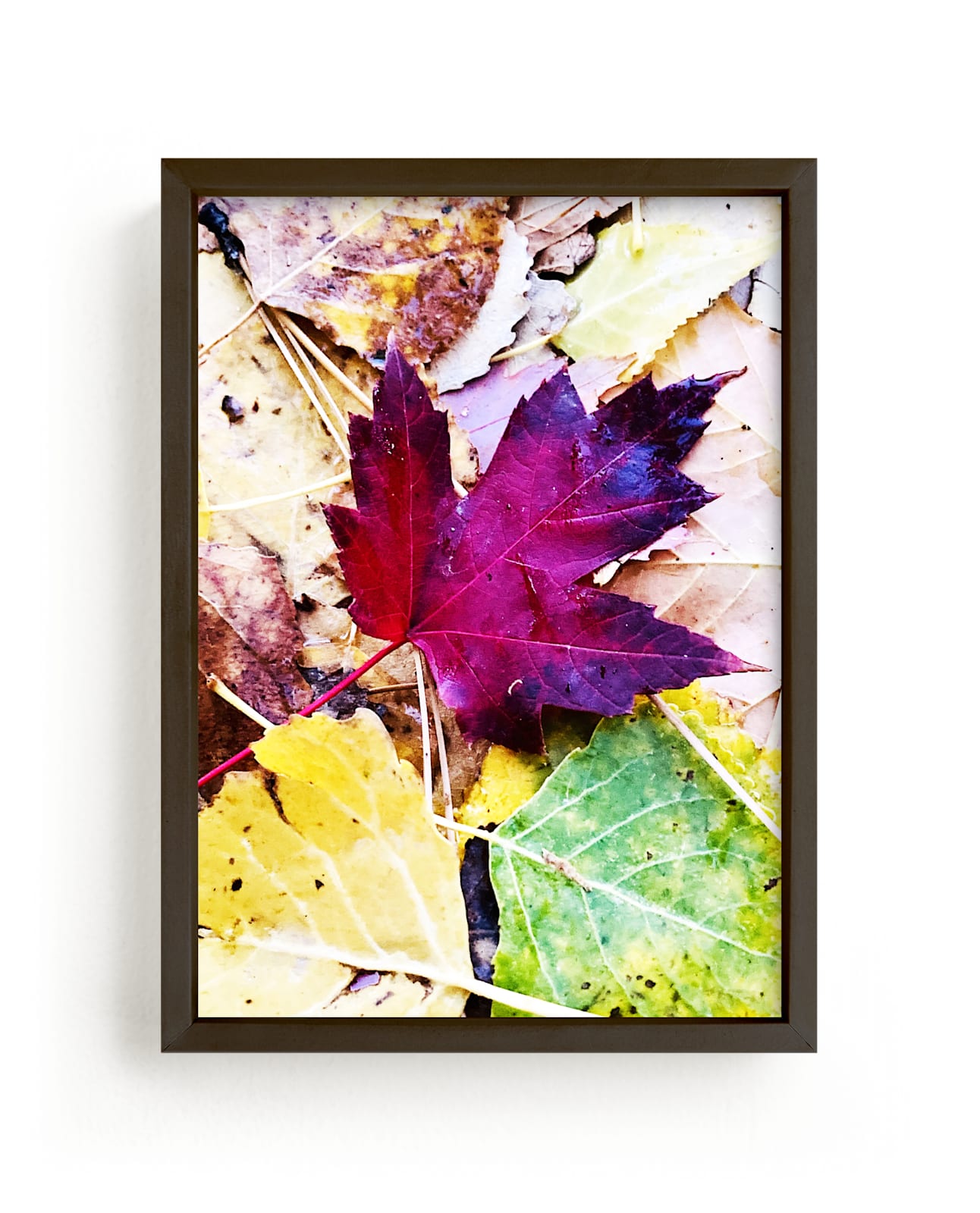 "Black Cherry Leaf" by Lauren Manas in beautiful frame options and a variety of sizes.