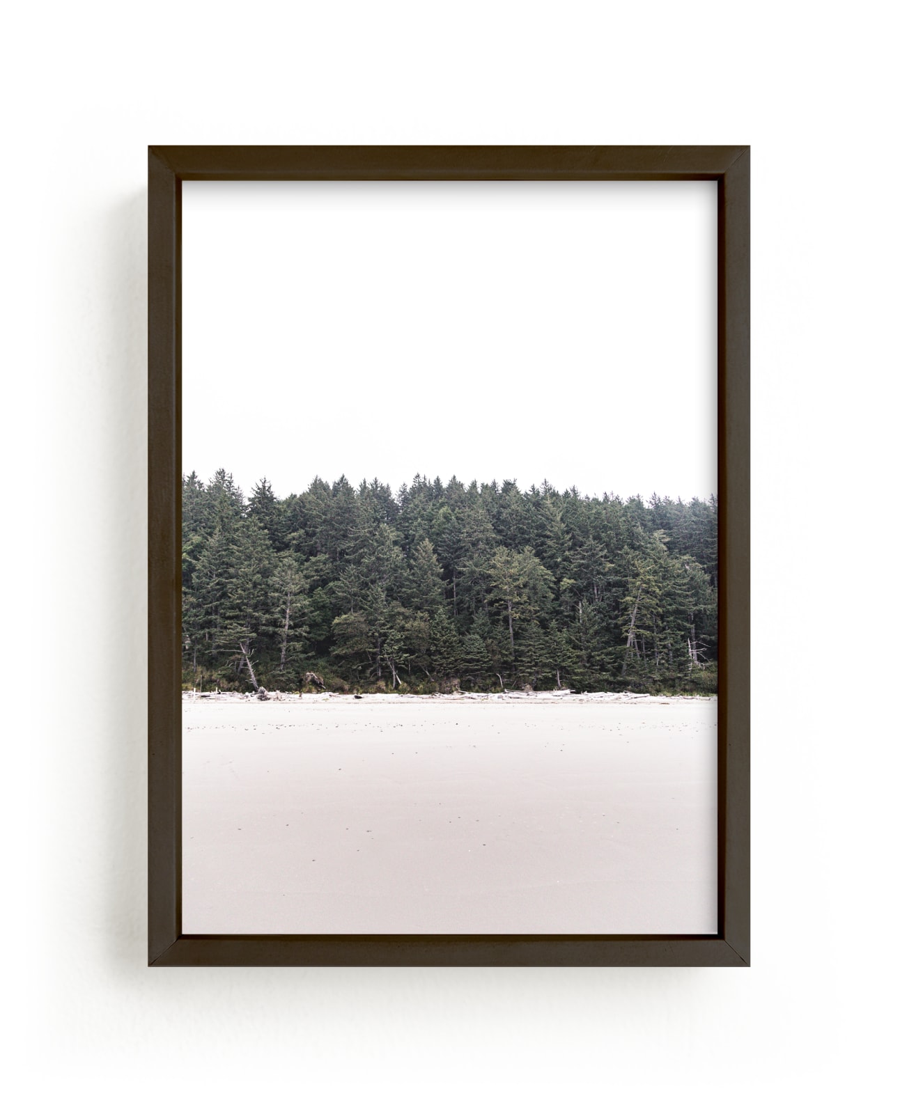 Forest on the Beach