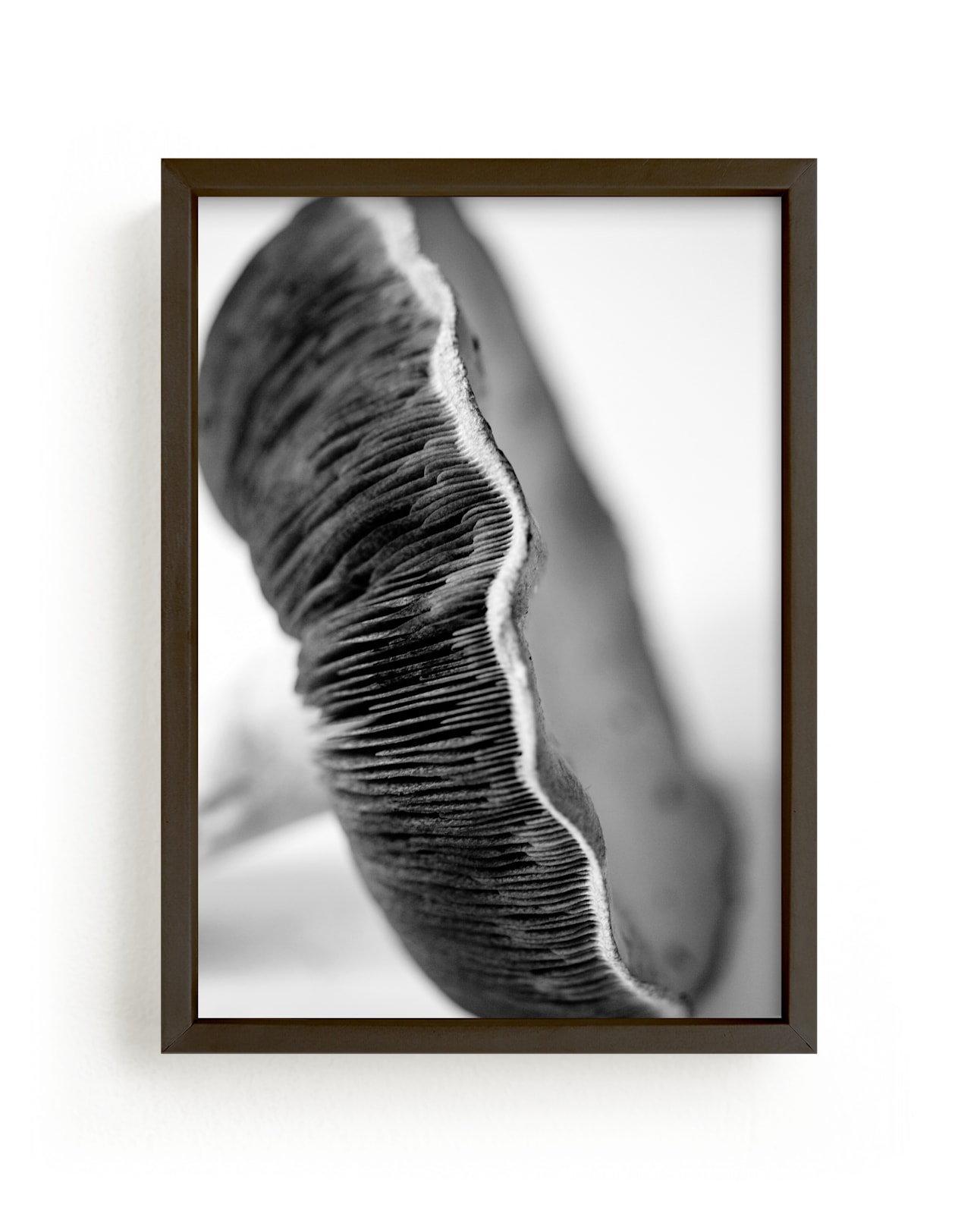 "Forest Find" by Alexis Arnold in beautiful frame options and a variety of sizes.