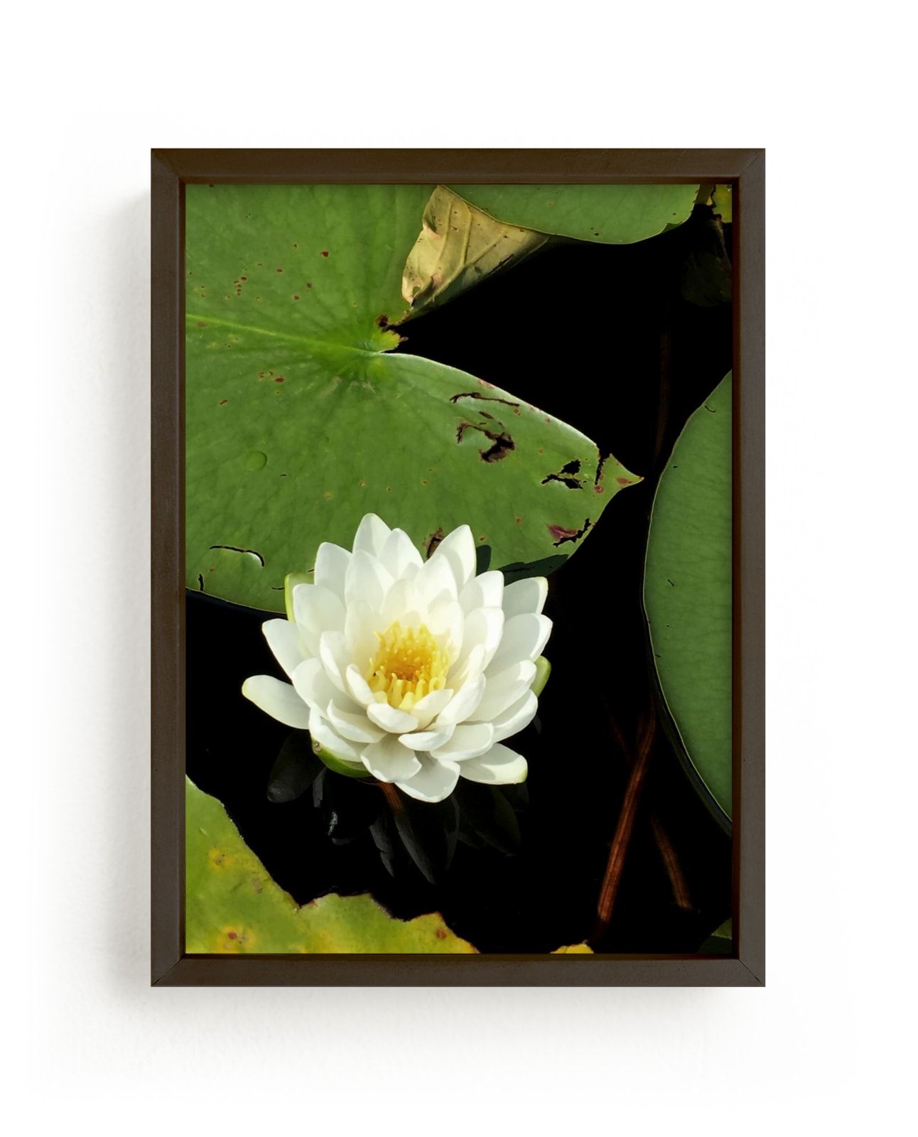 "Water Whimsy" by Janelle Wourms in beautiful frame options and a variety of sizes.
