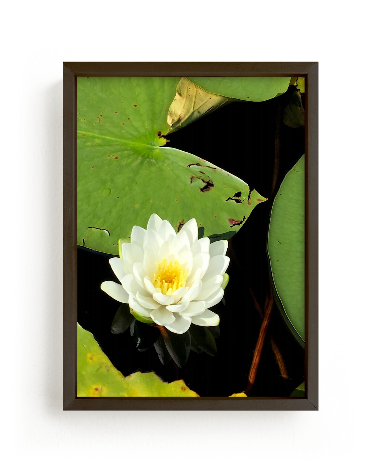 "Water Whimsy" by Janelle Wourms in beautiful frame options and a variety of sizes.