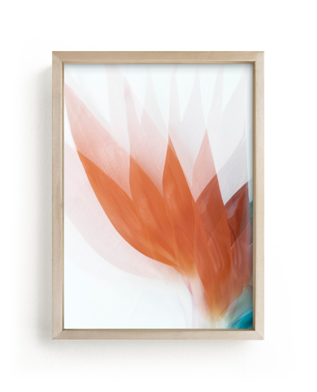 "California Darling" - Limited Edition Art Print by Tania Medeiros in beautiful frame options and a variety of sizes.