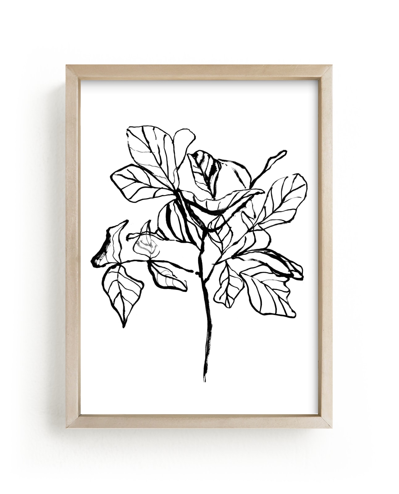 "Fiddle-leaf fig tree 2" - Limited Edition Art Print by Cass Loh in beautiful frame options and a variety of sizes.