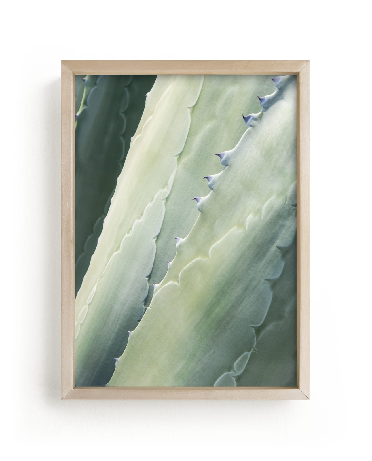 "Botanical II" - Limited Edition Art Print by Whitley Williams in beautiful frame options and a variety of sizes.