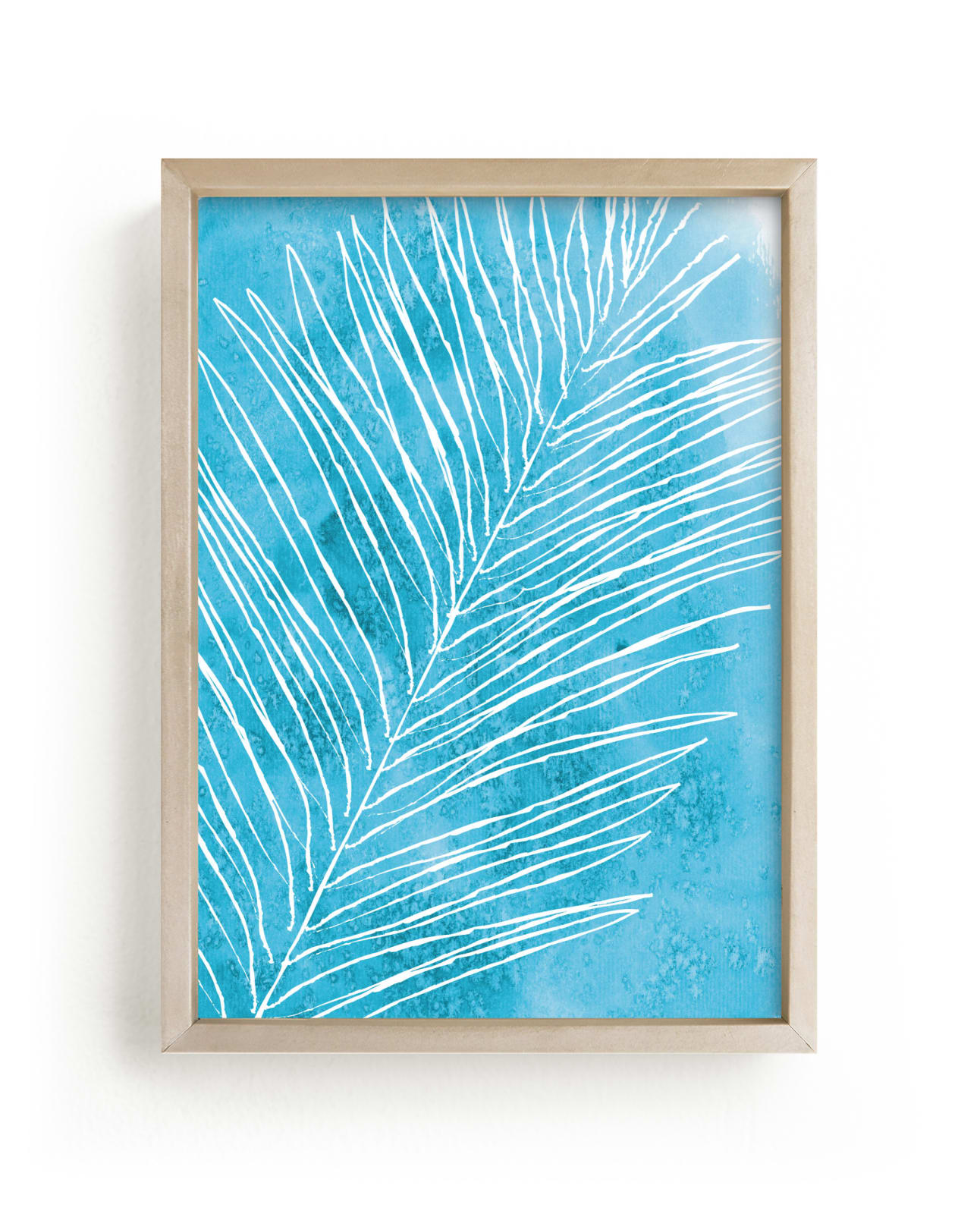 Fern Fossil