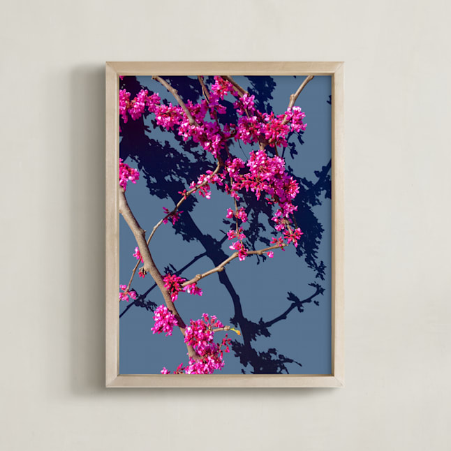 Red Bud Blue