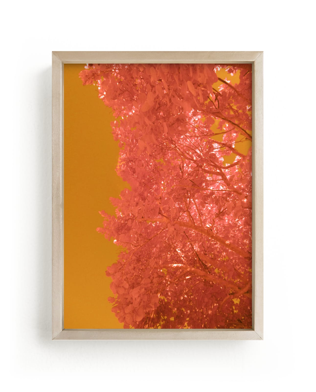 "My November" by Jonathan Brooks in beautiful frame options and a variety of sizes.