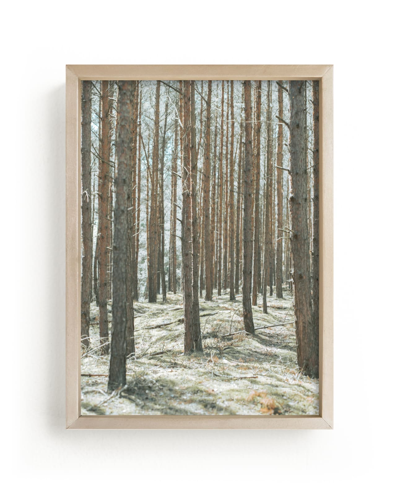 "Sharp forest" by Lying on the grass in beautiful frame options and a variety of sizes.