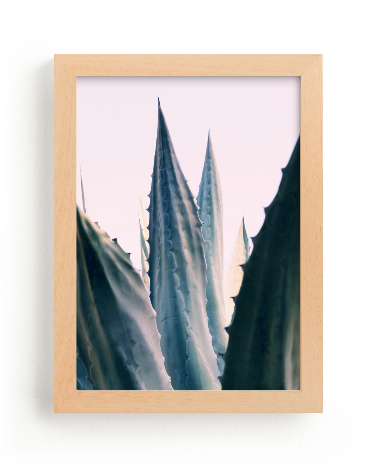"Agave Daydreams" - Grownup Open Edition Non-custom Art Print by ALICIA BOCK in beautiful frame options and a variety of sizes.