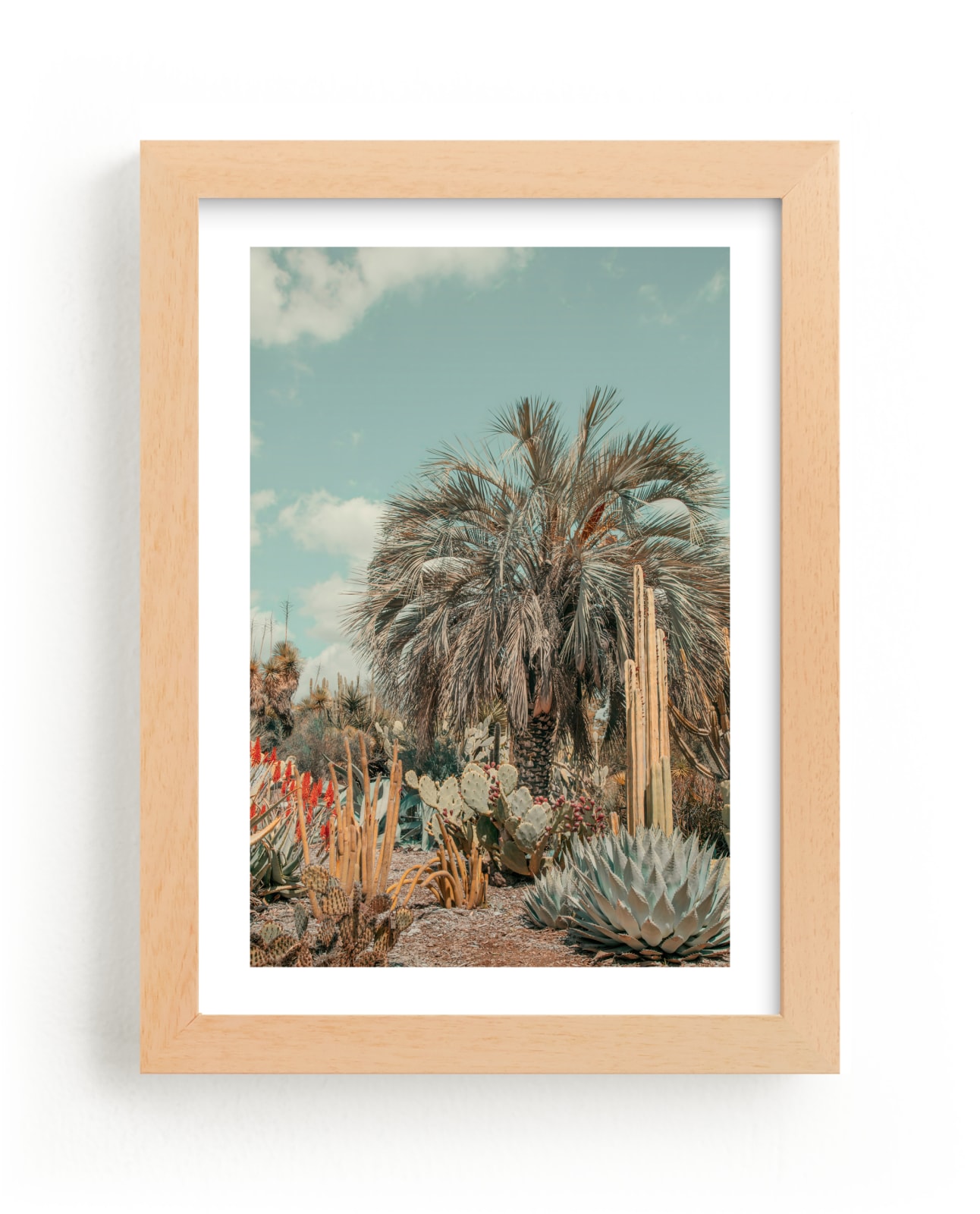 "Cali Cacti" - Limited Edition Art Print by Irene Suchocki in beautiful frame options and a variety of sizes.