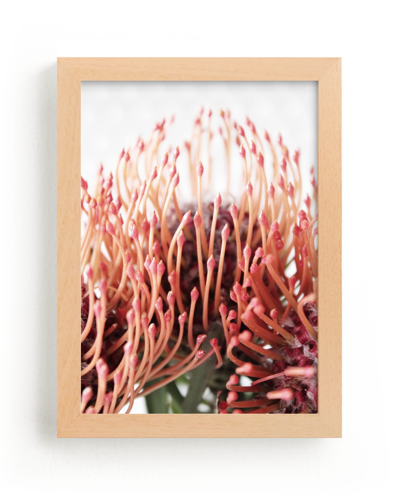 "Flora III" - Art Print by Blustery August in beautiful frame options and a variety of sizes.