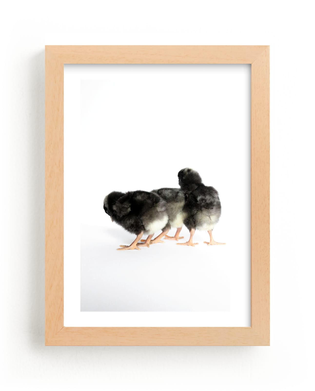 "Little Chicks" - Art Print by Blustery August in beautiful frame options and a variety of sizes.