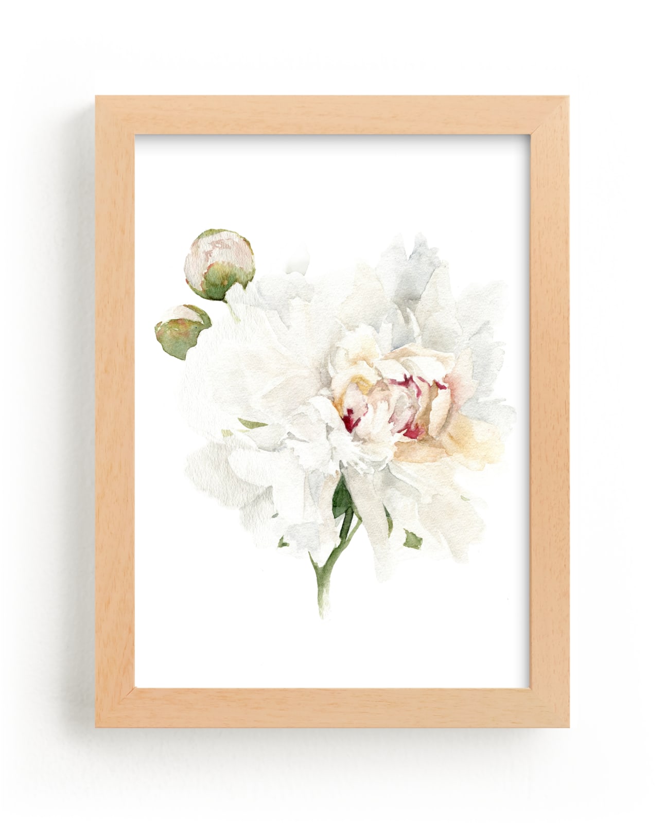 "White Peony Stem" by Jess Blazejewski in beautiful frame options and a variety of sizes.