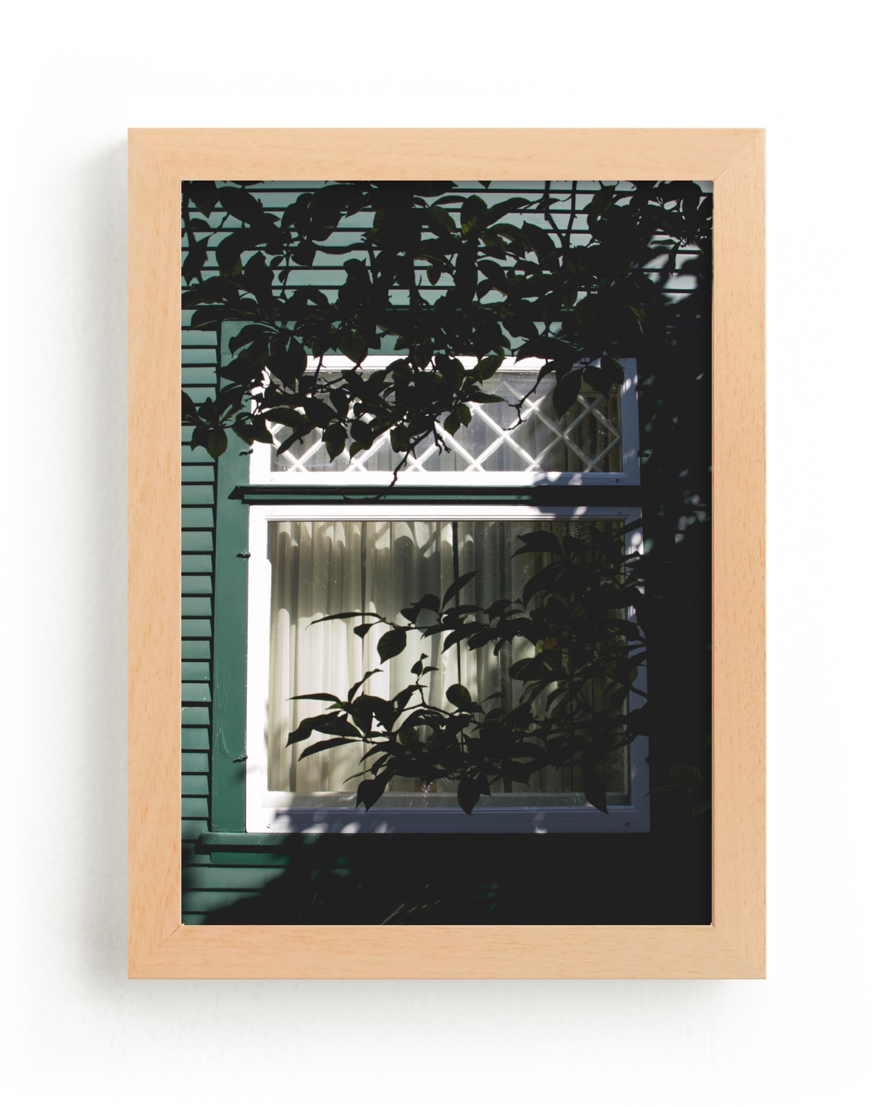 "Pine Window" by Katie Short in beautiful frame options and a variety of sizes.