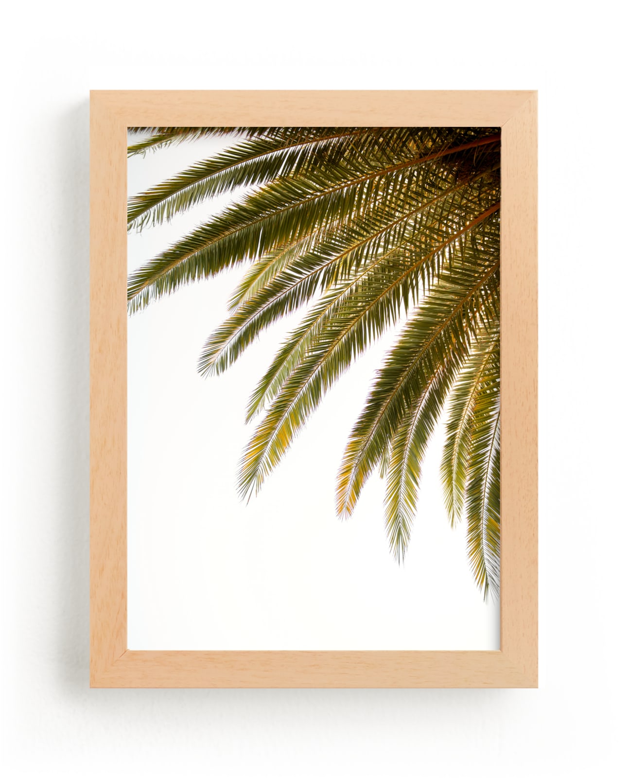 "palm no.1" by Crystal Lynn Collins in beautiful frame options and a variety of sizes.