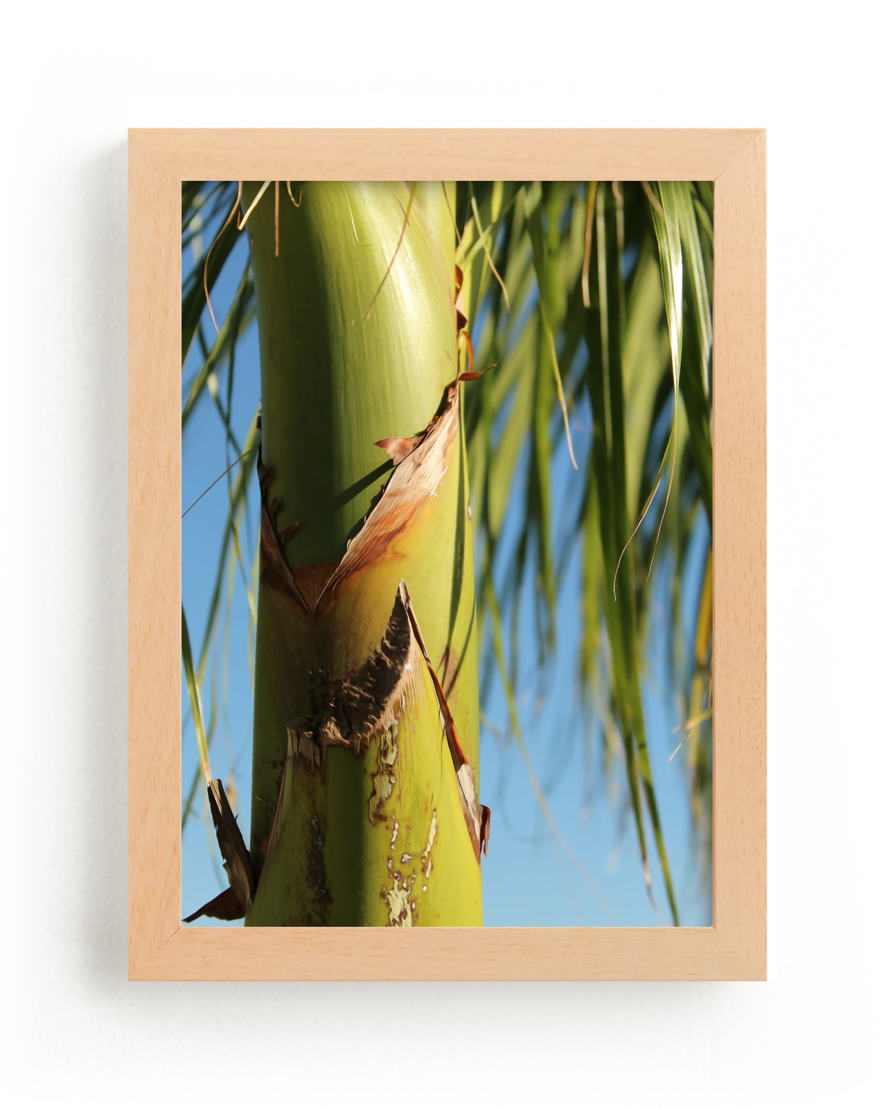 "Sunny Palm" by Melissa Agular in beautiful frame options and a variety of sizes.
