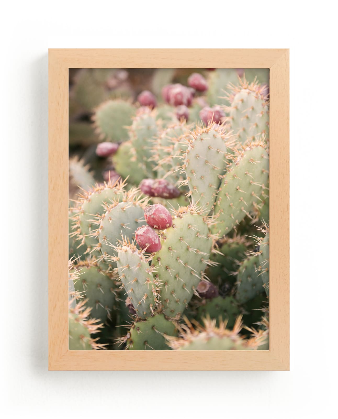 "prickly pears" by Crystal Lynn Collins in beautiful frame options and a variety of sizes.