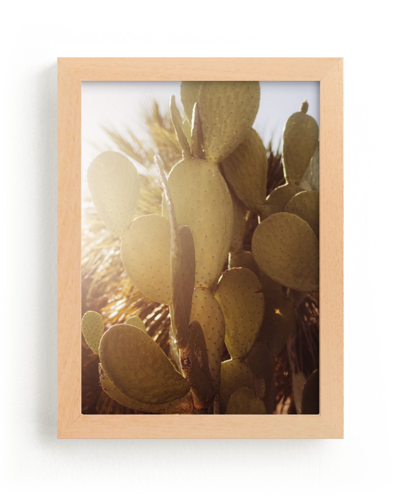 " Cactus Lush" by Hollie Renner Photography in beautiful frame options and a variety of sizes.