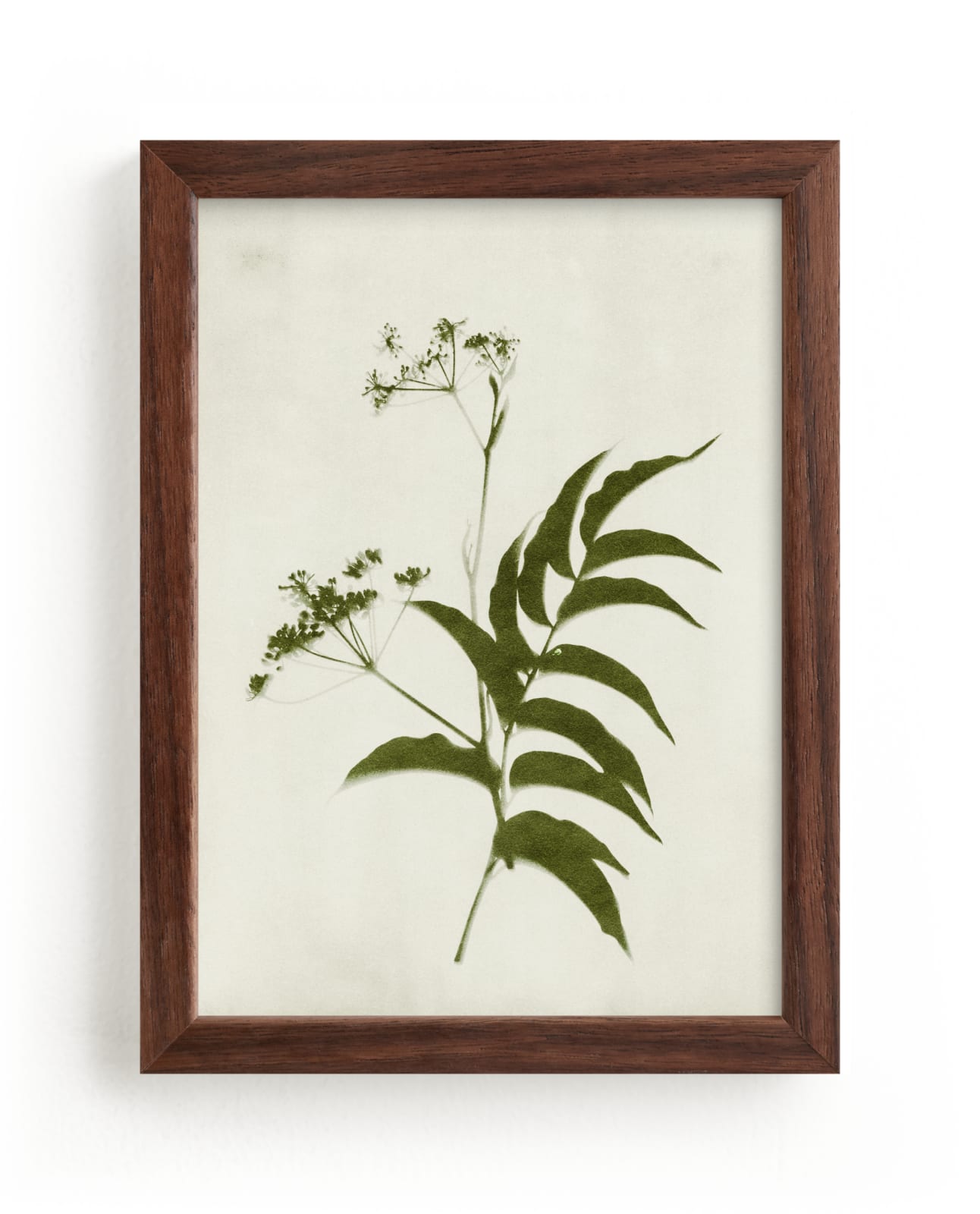 "Foraged III" - Limited Edition Art Print by Kamala Nahas in beautiful frame options and a variety of sizes.
