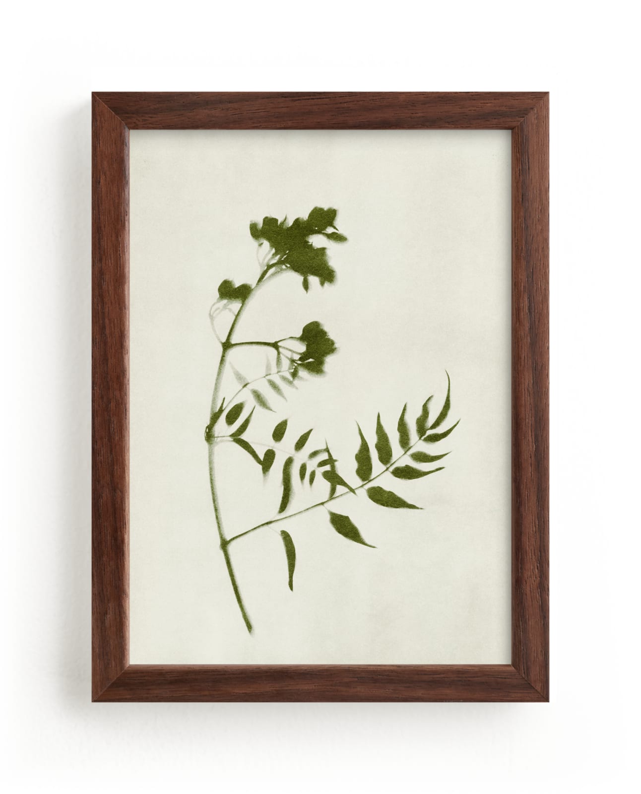 "Foraged I" - Limited Edition Art Print by Kamala Nahas in beautiful frame options and a variety of sizes.
