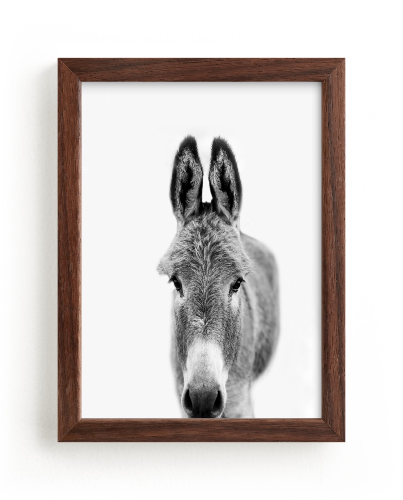 "Sullivan" - Limited Edition Art Print by Jani Blake in beautiful frame options and a variety of sizes.