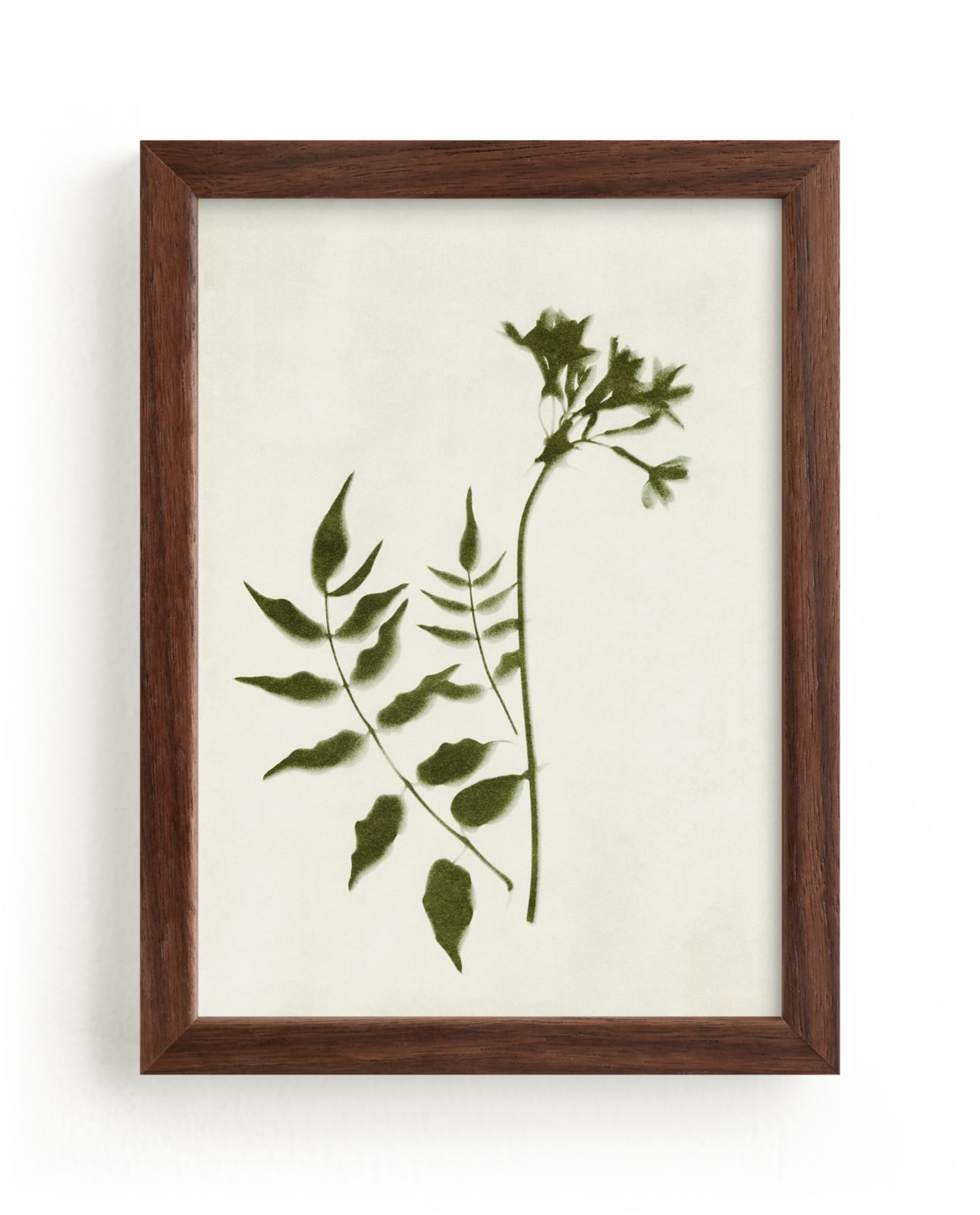 "Foraged II" - Limited Edition Art Print by Kamala Nahas in beautiful frame options and a variety of sizes.