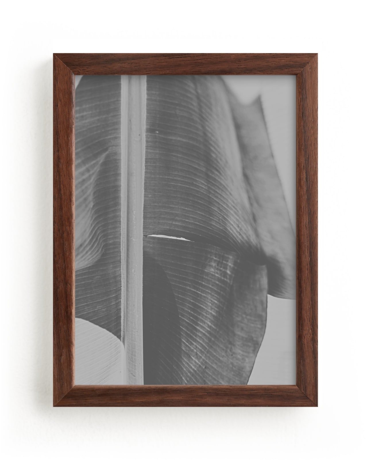 "rainforest leaf" - Limited Edition Art Print by Alicia Abla in beautiful frame options and a variety of sizes.