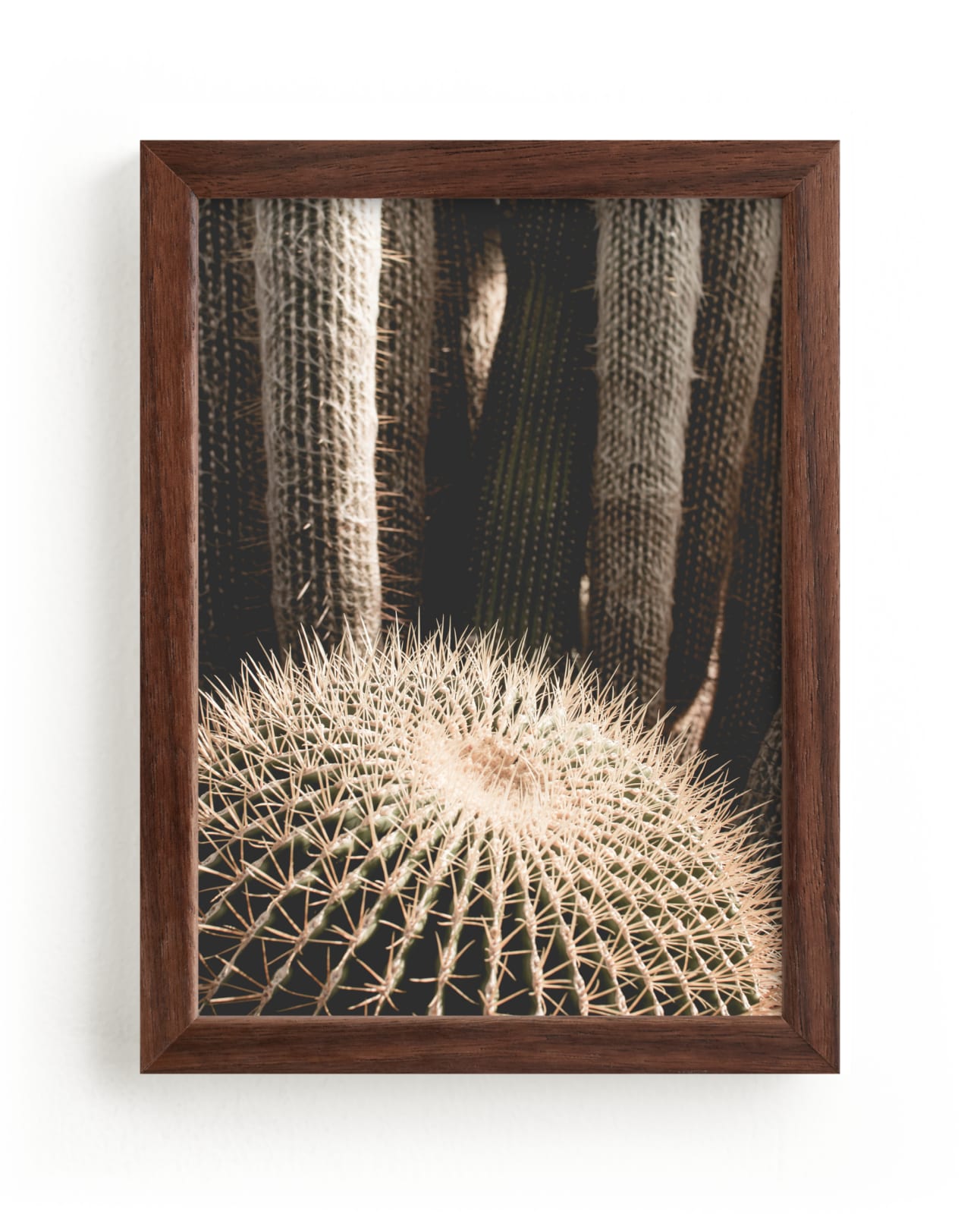 "Pointy Petra" by Katie Short in beautiful frame options and a variety of sizes.