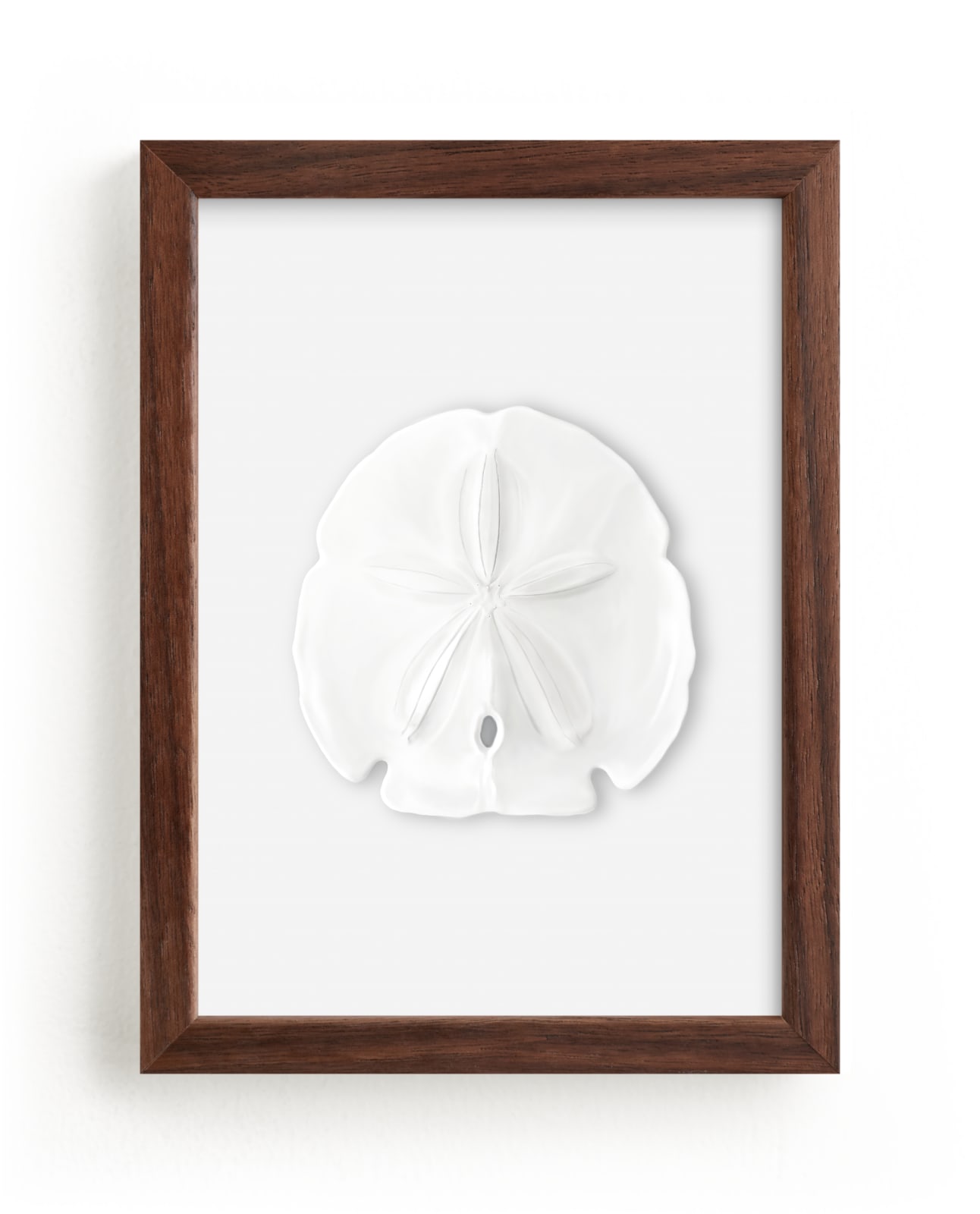 "Modern Sand Dollar" by Artsy Canvas Girl Designs in beautiful frame options and a variety of sizes.