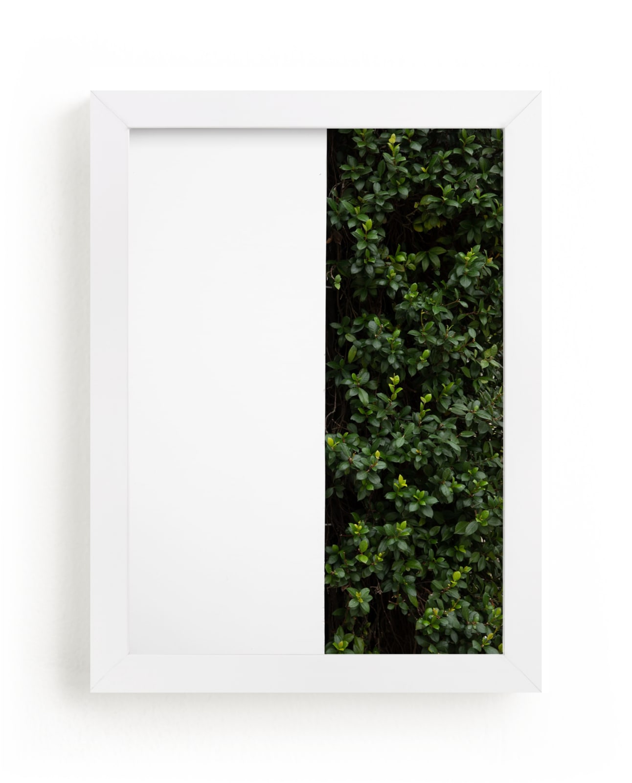 "verdant garden III" - Limited Edition Art Print by Sara Hicks Malone in beautiful frame options and a variety of sizes.