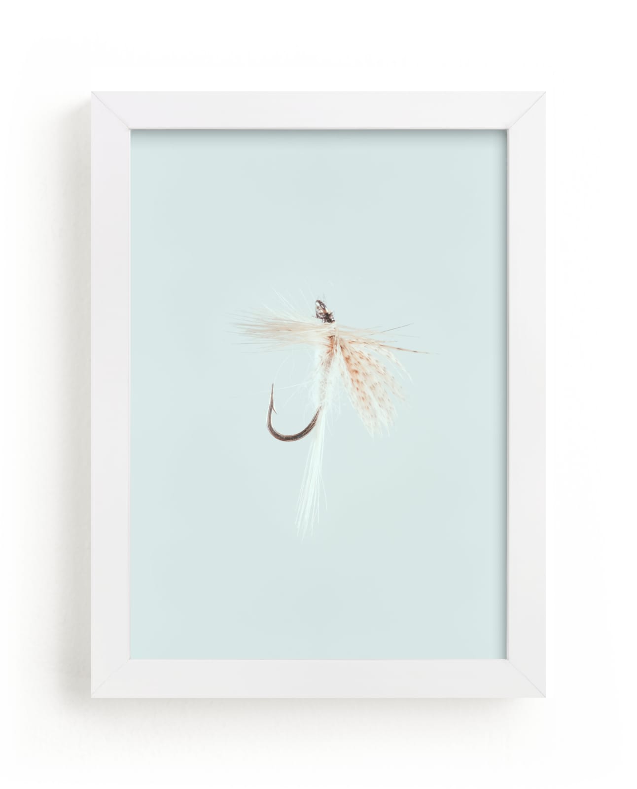 Hackle Fishing Flies. Fine art print.