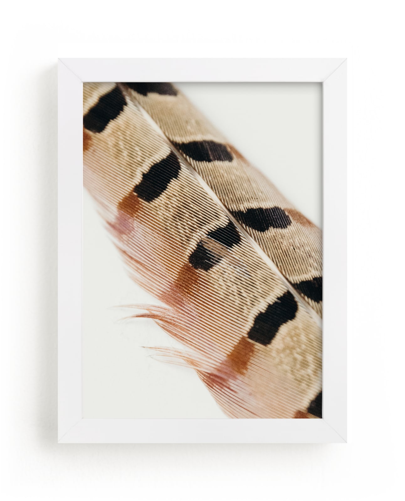 "Feather Study I" - Limited Edition Art Print by Becca Frederick in beautiful frame options and a variety of sizes.