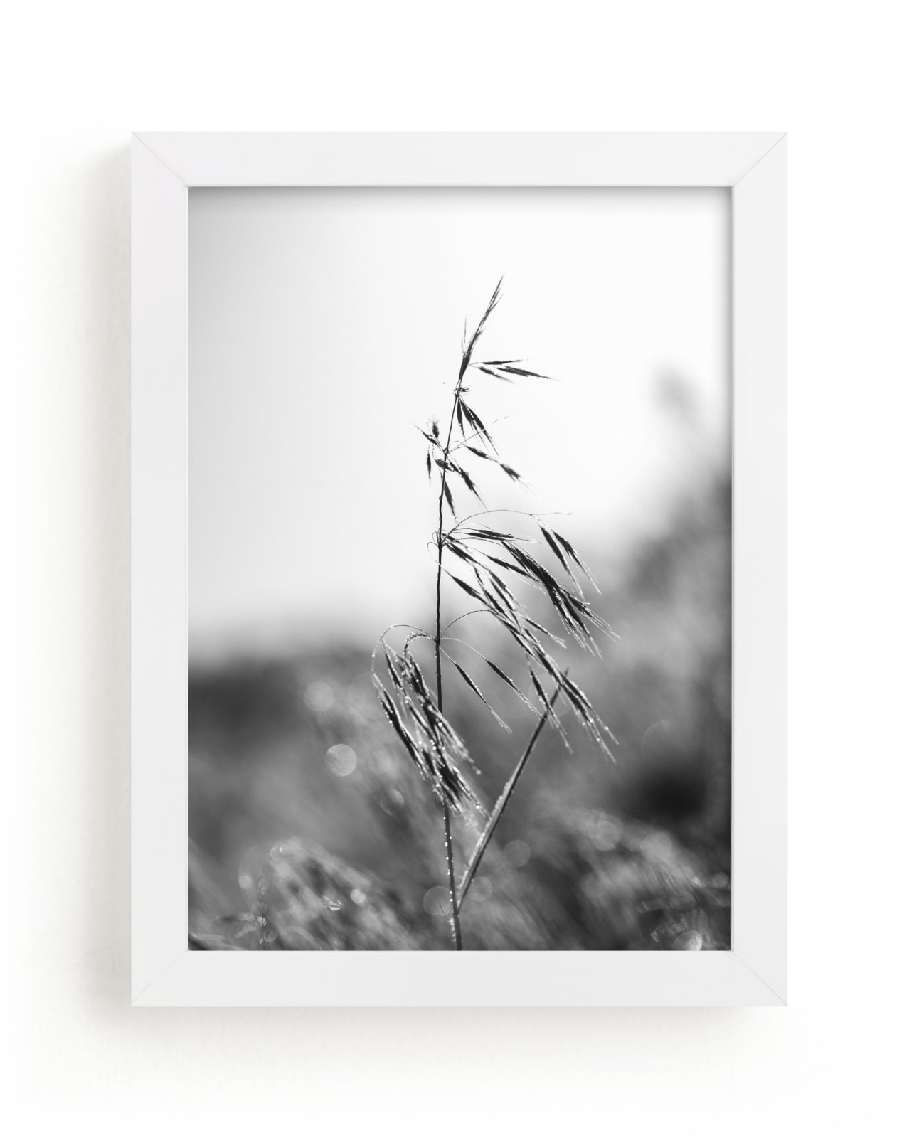 "Dancing grass" - Limited Edition Art Print by Magdalena Kucova in beautiful frame options and a variety of sizes.