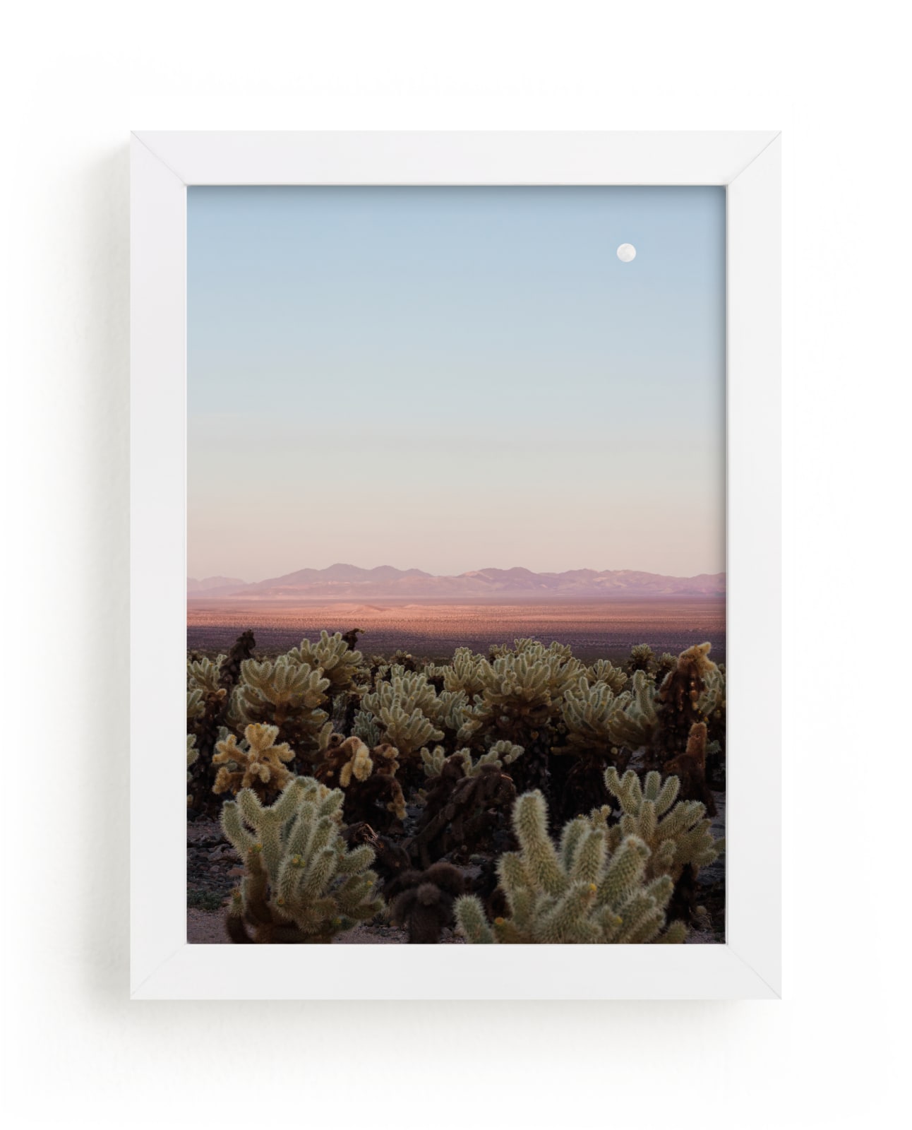 "Joshua Tree II" - Limited Edition Art Print by Jenna Gibson in beautiful frame options and a variety of sizes.