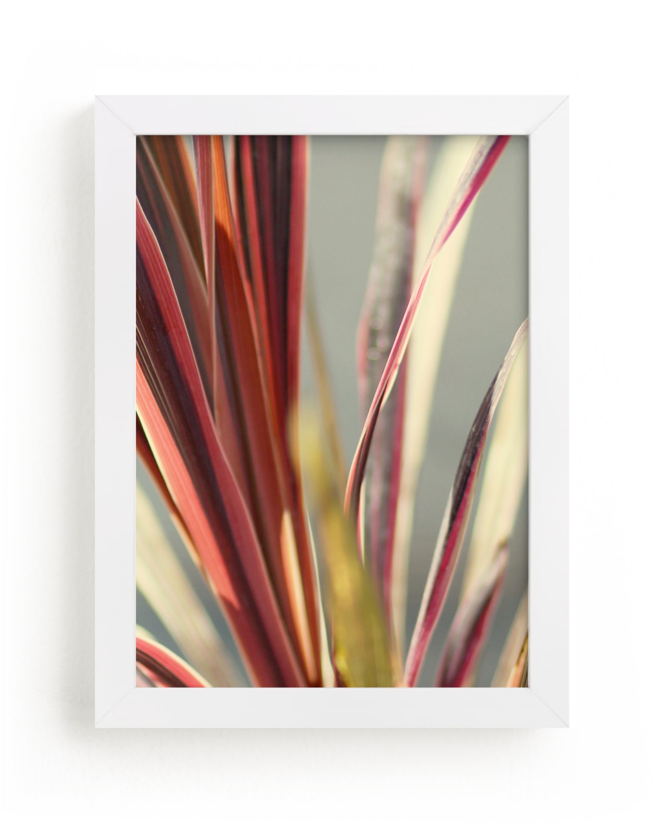 "bright palm" - Limited Edition Art Print by Baumbirdy in beautiful frame options and a variety of sizes.