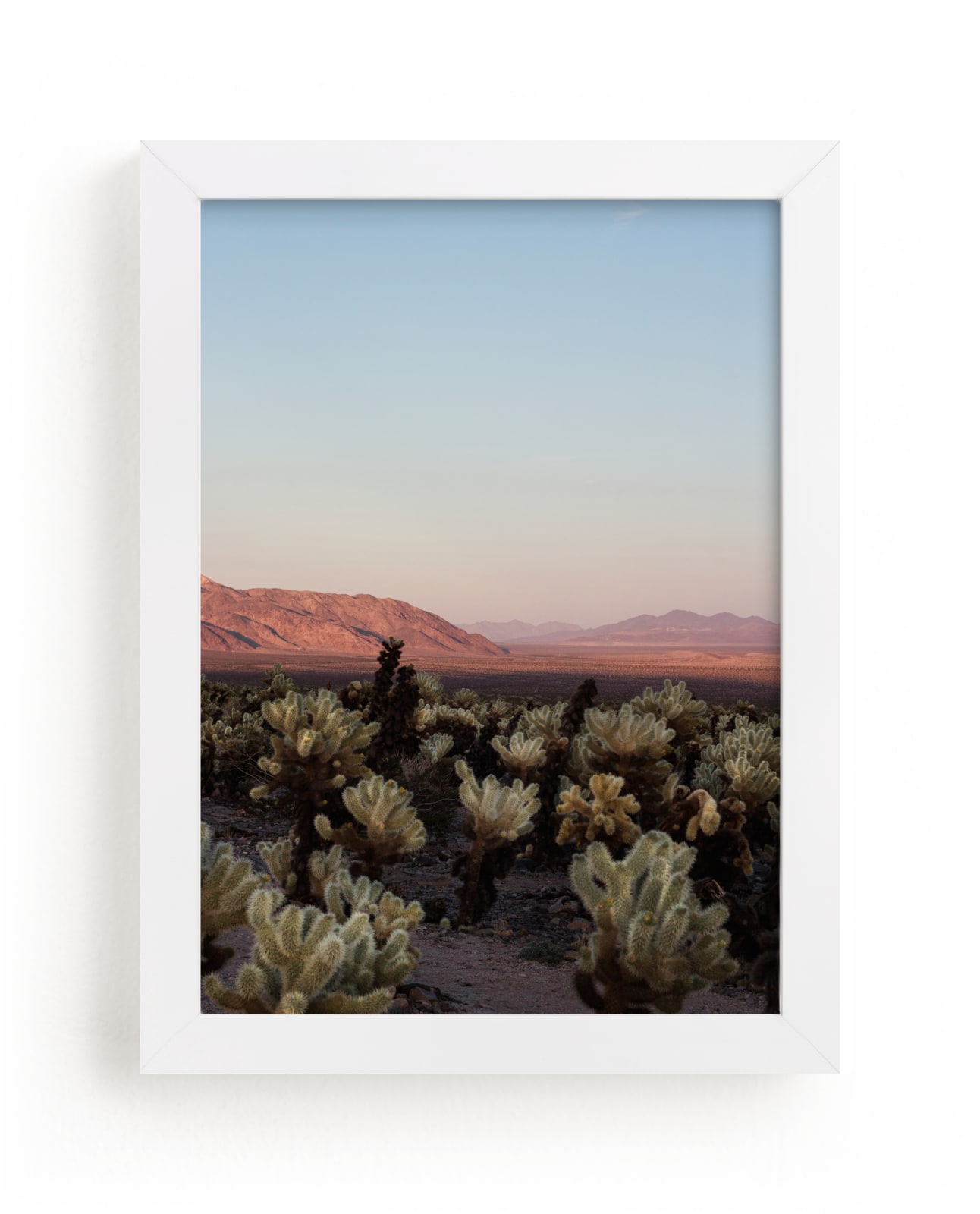 "Joshua Tree I" - Limited Edition Art Print by Jenna Gibson in beautiful frame options and a variety of sizes.