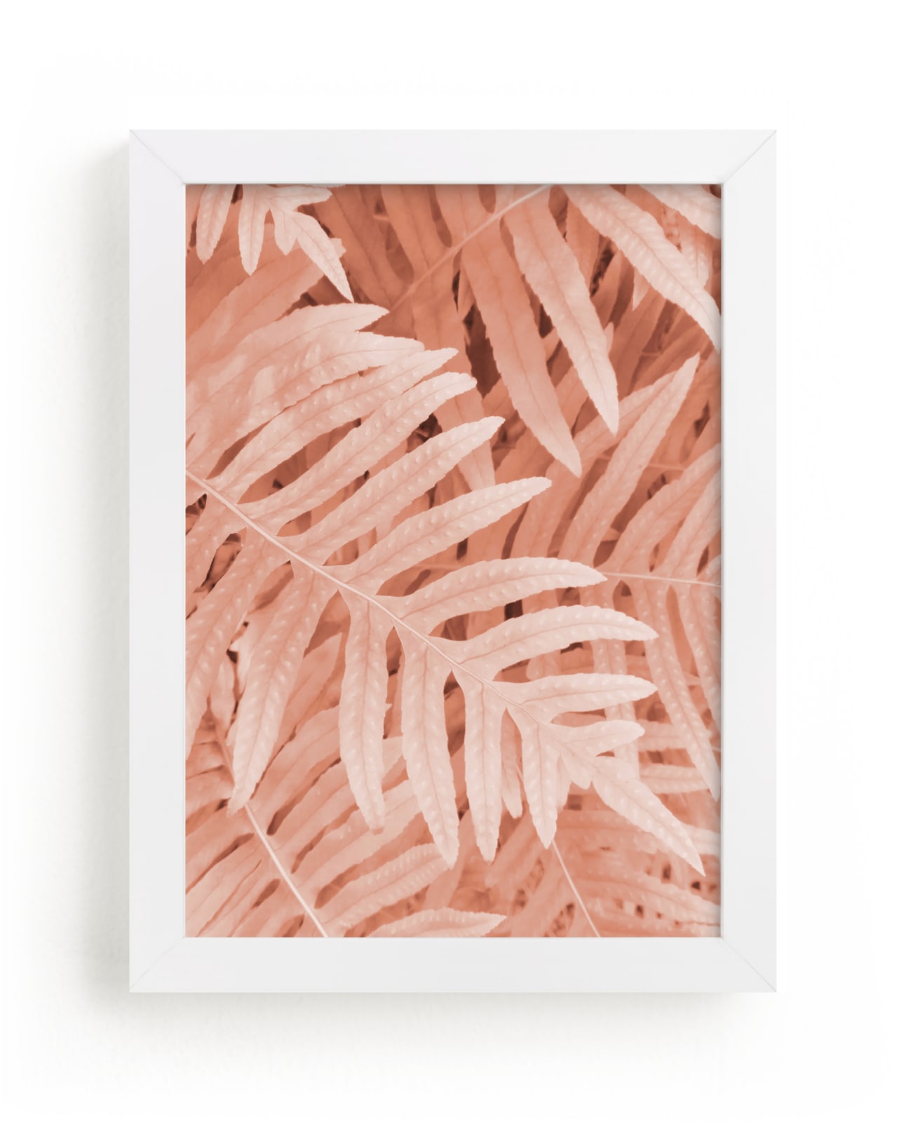 "Pink Ferns" - Limited Edition Art Print by EMANUELA CARRATONI in beautiful frame options and a variety of sizes.