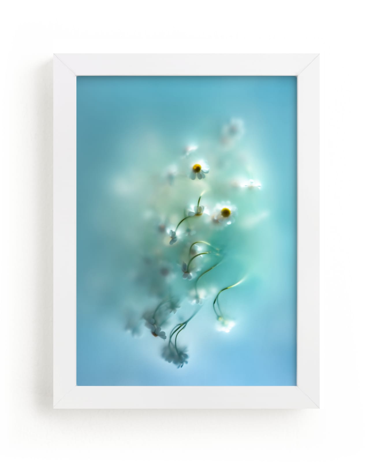 "Daisies in aqua" - Limited Edition Art Print by Aralyn Griesbach in beautiful frame options and a variety of sizes.