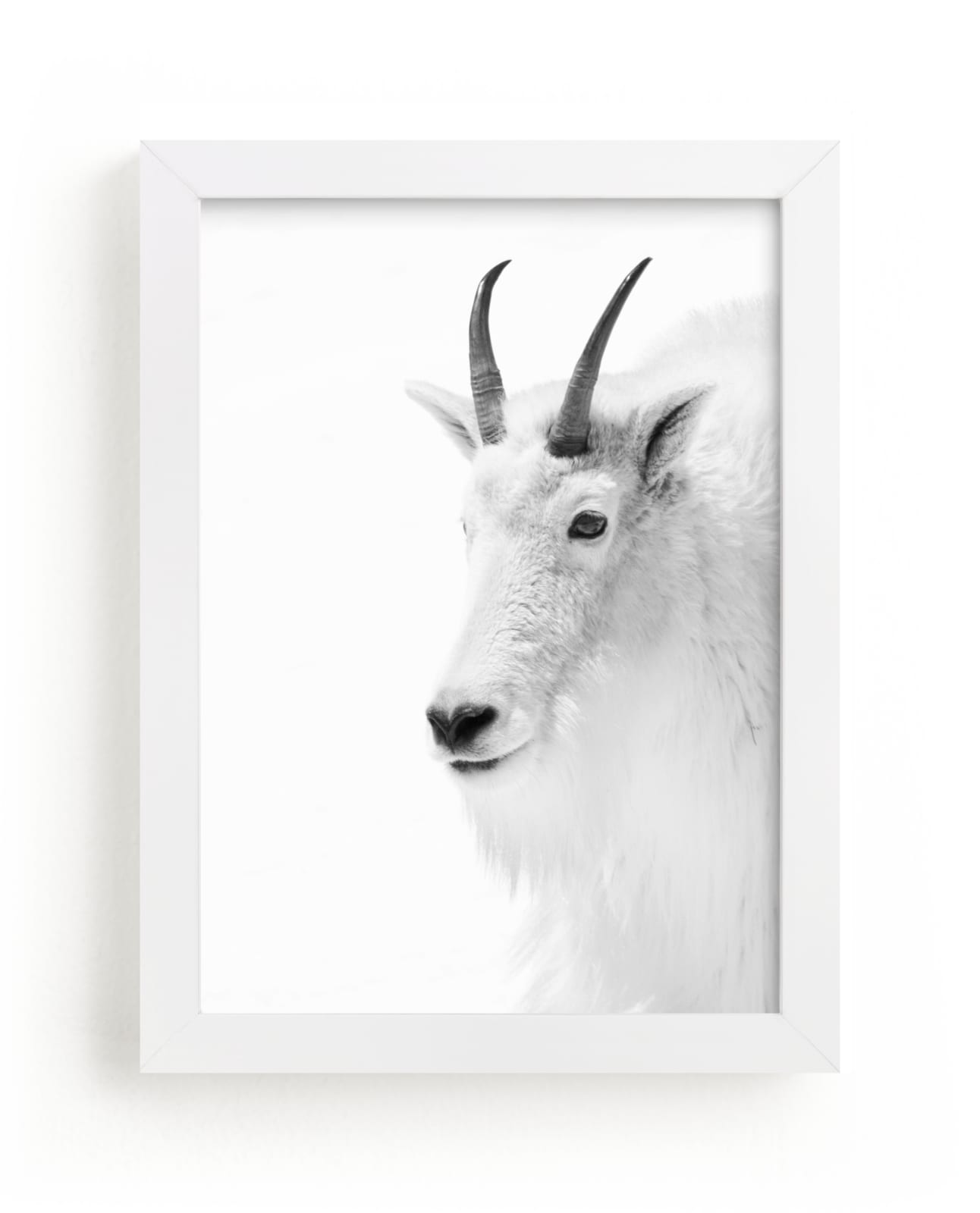 "Fierce" - Limited Edition Art Print by Jamie Lollback in beautiful frame options and a variety of sizes.